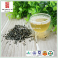 organic tea, Chinese organic tea, Songluo organic tea